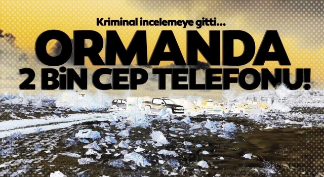 2 bin cep telefonunu yaktılar