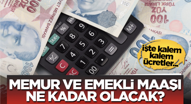 Memur ve emekli maaşı ne kadar olacak?