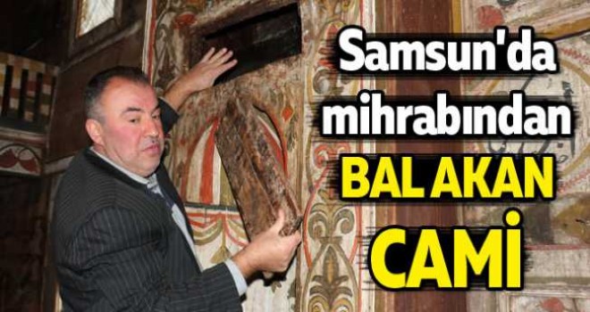 Samsun'da mihrabından bal akan cami