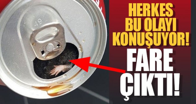 Coca Cola kutusundan ölü fare çıktı