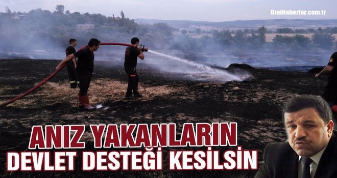 ANIZ YAKANLARIN DEVLET DESTEĞİ KESİLSİN