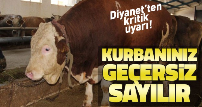 Diyanet o konuda uyardı, Kurbanınız geçersiz sayılır!