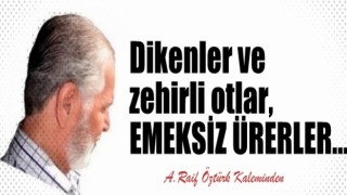 Dikenler ve zehirli otlar, EMEKSİZ ÜRERLER…