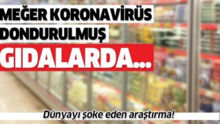 Dondurulmuş gıdalarda korona endişesi