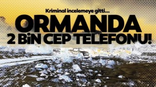 2 bin cep telefonunu yaktılar