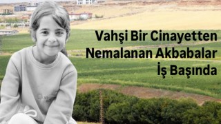 Vahşi bir cinayetten nemalanan akbabalar iş başında!