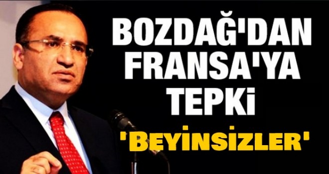 Hükümet Sözcüsü ve Başbakan Yardımcısı Bekir Bozdağ,' Beyinsizler'