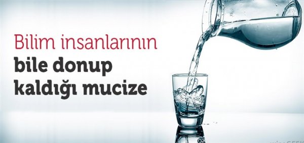 Bilim insanlarının bile donup kaldığı mucize