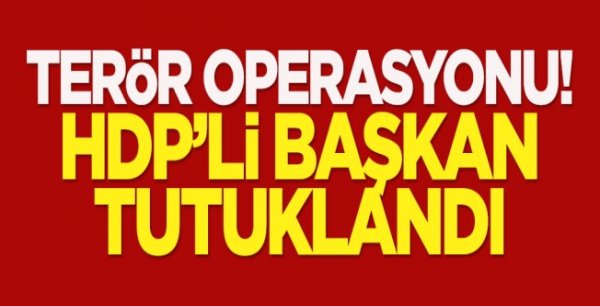 HDP'li Başkan tutuklandı