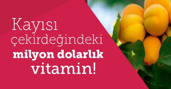 Kayısı çekirdeğindeki milyon dolarlık vitamin!