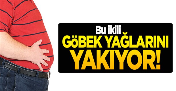 Tarçınlı süt göbek yağlarını yakıyor