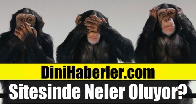 DiniHaberler.com Sitesine Ne Oluyor?