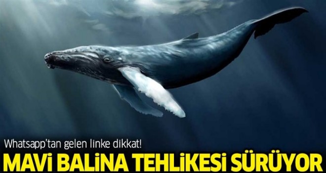 Mavi Balina oyunu için Whatsapp'tan gelen linke dikkat!