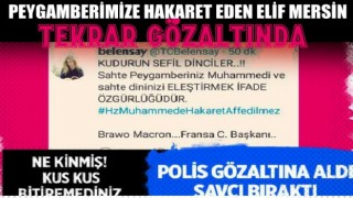 Peygamberimize Hakaret Eden Kişi Tekrar Gözaltında