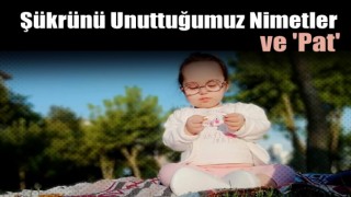 Şükrünü unuttuğumuz nimetler ve 'Pat'