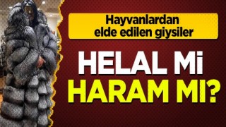 Hayvanlardan elde edilen kıyafetler helal mi, haram mı?