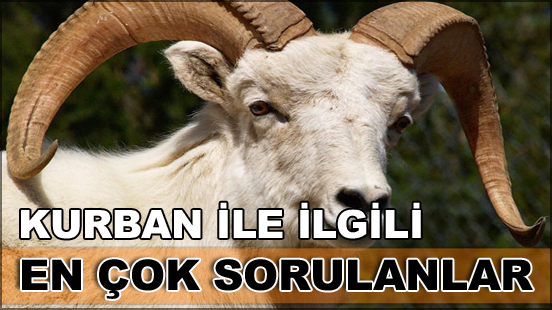 Kurbanla ilgili sık&#231;a sorulan sorular ve bu sorulara verilen cevaplar burada...