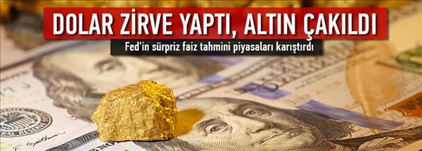 Dolar zirve yaptı, altın &#231;akıldı