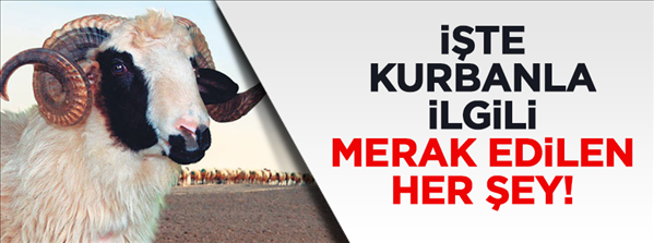 Kurbanla ilgili merak edilen her şey!