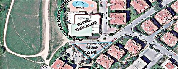 İşte yeşil katilleri