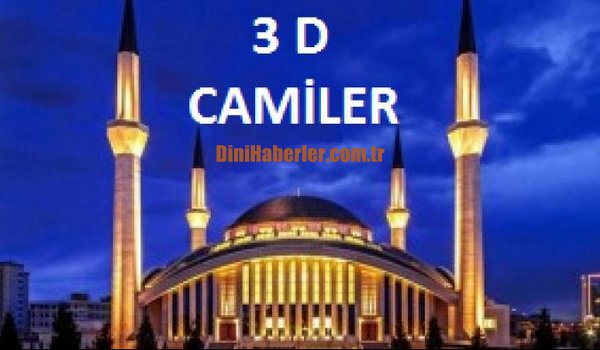 3D Camiler