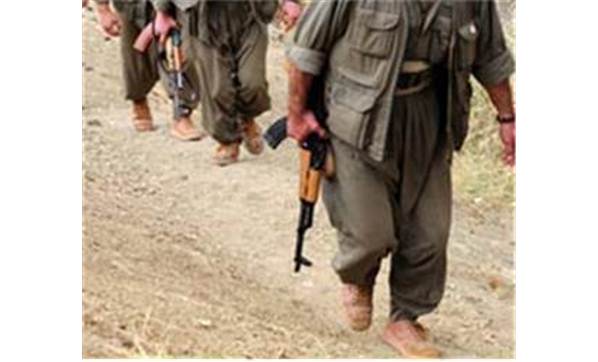 Hakkari ve Ağrı'da 10 PKK'lı öldürüldü