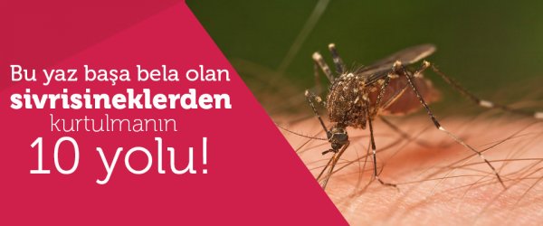 Baş belası sivrisineklerden kurtulmanın 10 yolu!