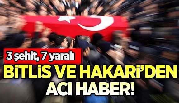 Bitlis ve Hakkari\'de hain saldırı