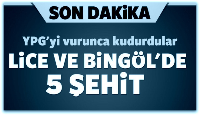 Diyarbakır ve Bingöl\'de 5 şehit