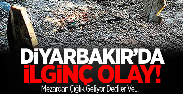 Diyarbakır\'da Çığlık Geliyor Diye...