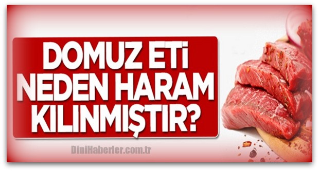 Domuz eti neden haram kılınmıştır?