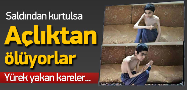 Ölmemek için artık kedileri yiyorlar