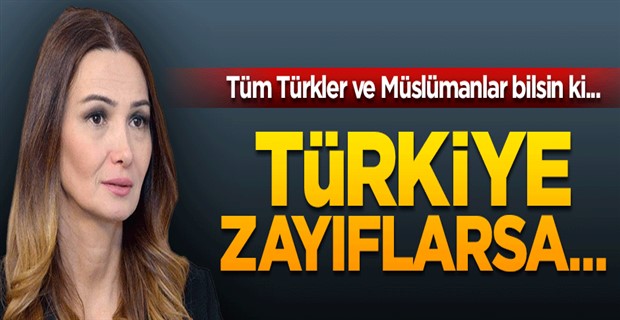 Paşayeva, Türkiye zayıflarsa, hepimiz zayıflarız