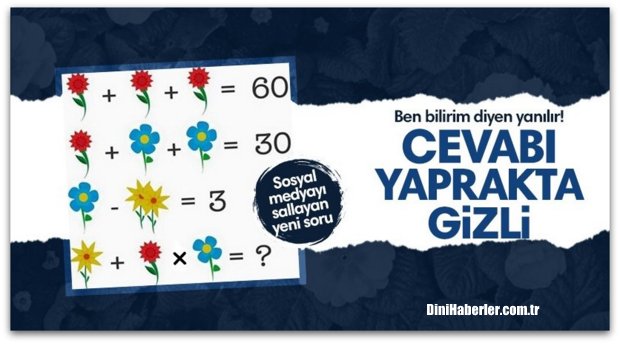 Sosyal medyayı sallayan yeni bulmaca