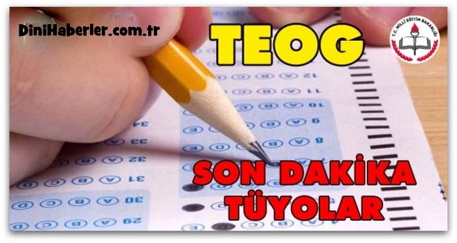 TEOG’da nasıl başarılı olunur?